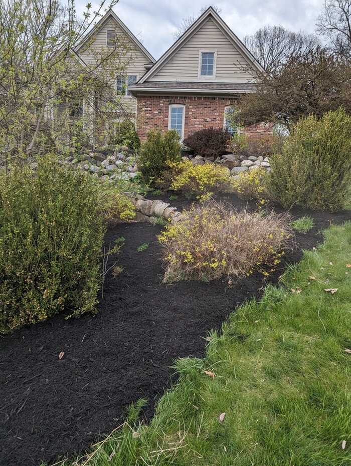 Freshly mulched garden bed landscaping