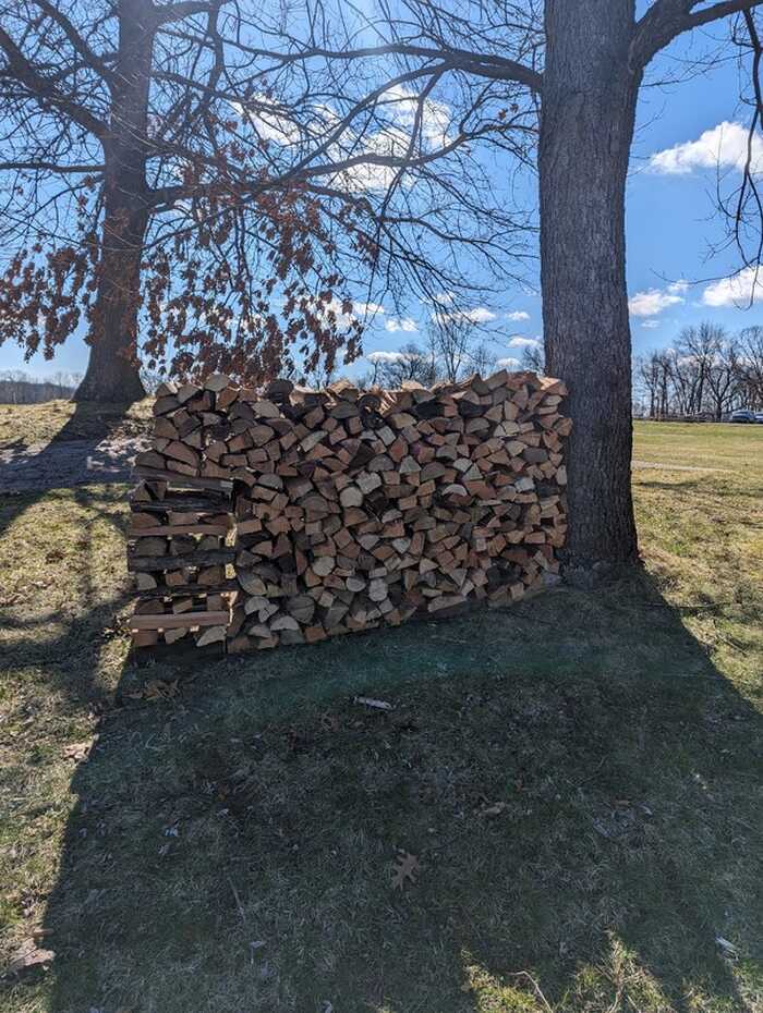 Stacked seasoned firewood